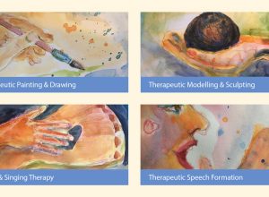 the value of Anthroposophic Arts Therapies